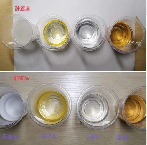 展學(xué)科實踐性作業(yè) 亮航中學(xué)子風采